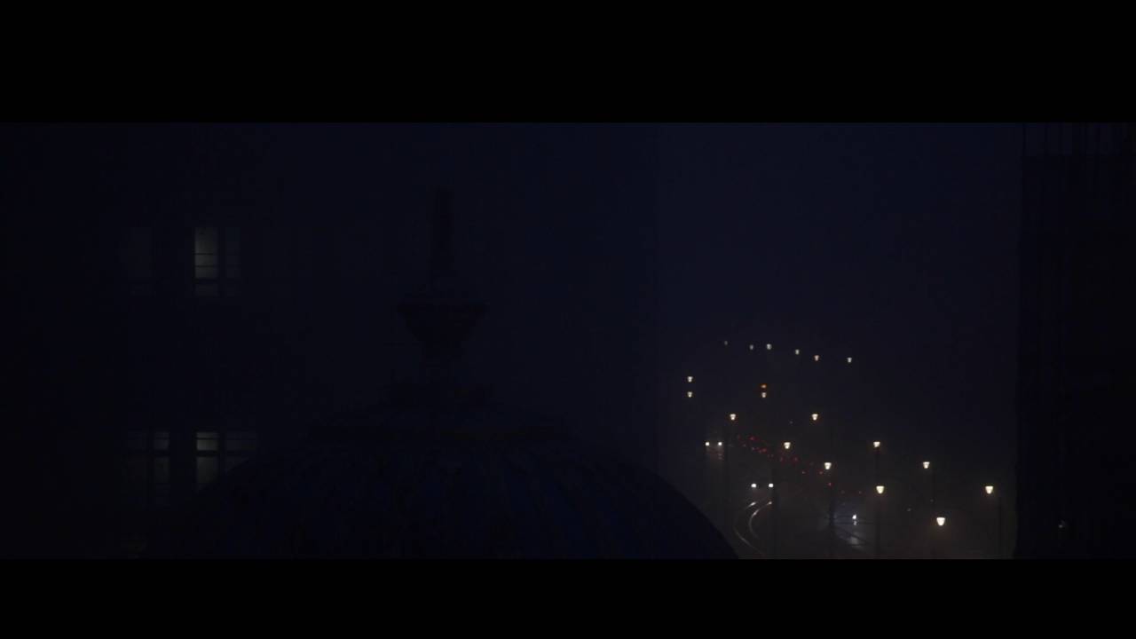 Kompozycja otwarta, pozioma. Nocny, miejski krajobraz z perspektywy średniej wysokości kopuły budynku, z której rozpościera się widok na wysoki budynek po lewej stronie, oraz oświetloną latarniami ulicę. Kolorystyka bardzo ciemna, zimna.